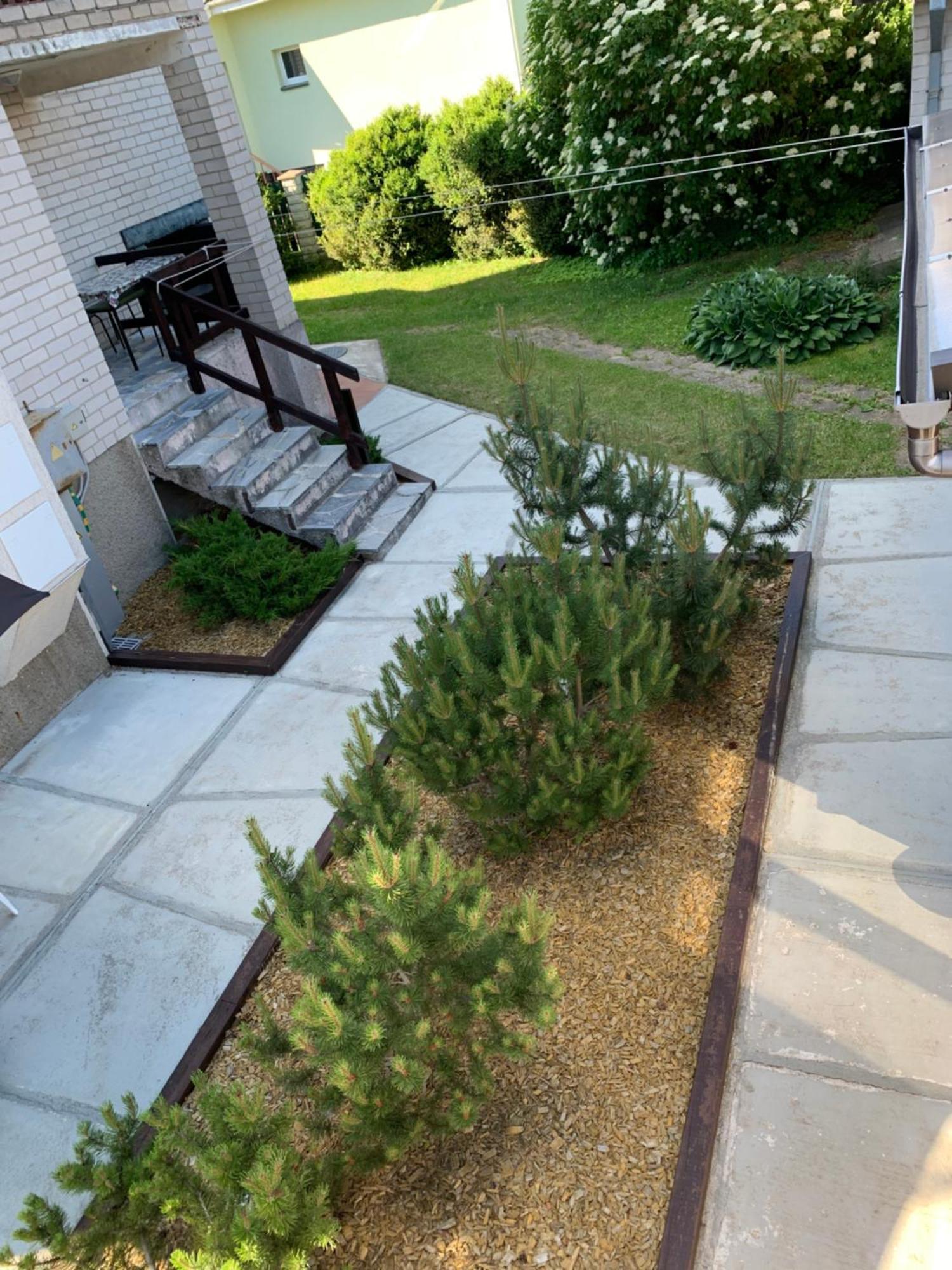 Guesthouse Sveciuose Pas Grazina 팔랑가 외부 사진